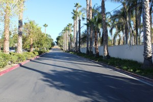 IMG_0385